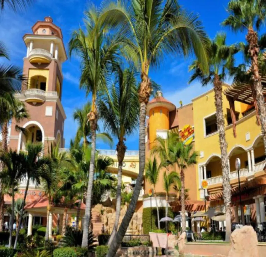 Medano Junior Suite Cabo San Lucas Hotel